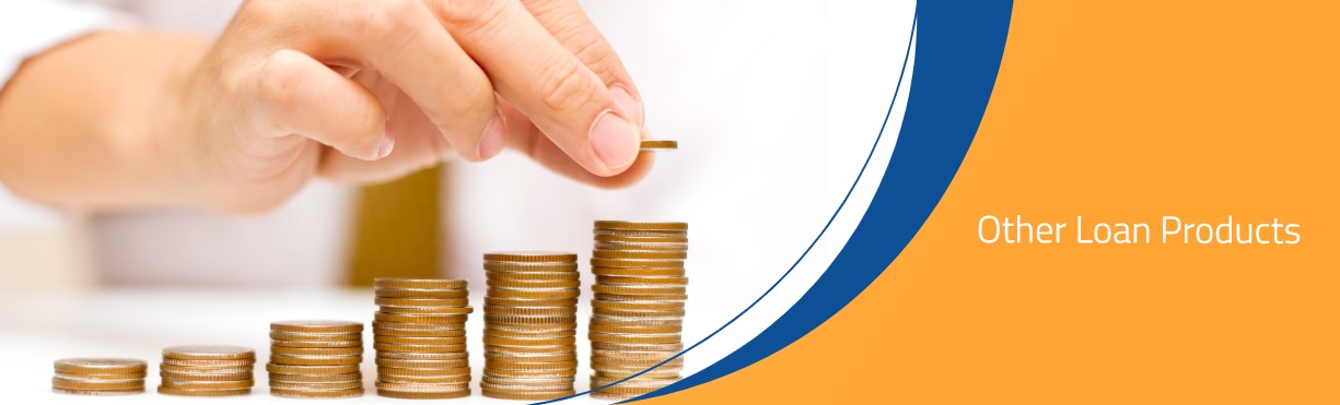 OtherLoanProducts OtherLoanProducts